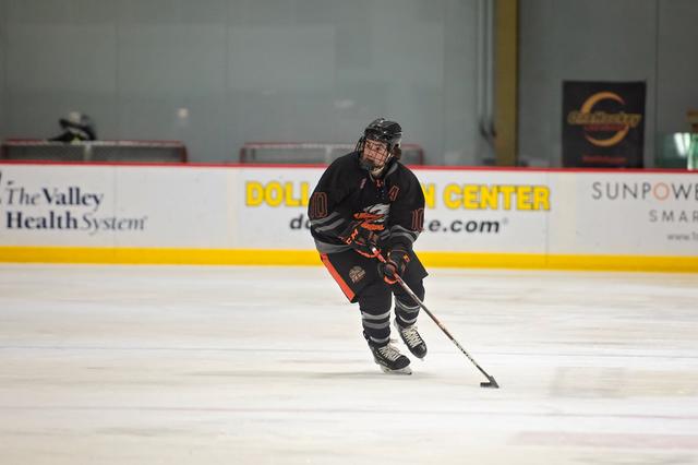 Michele Sylvester Photography