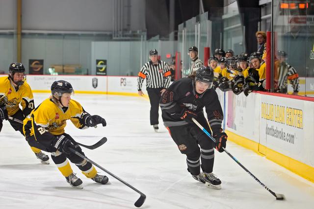 Michele Sylvester Photography