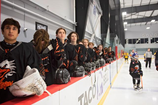 Michele Sylvester Photography