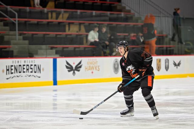 Michele Sylvester Photography