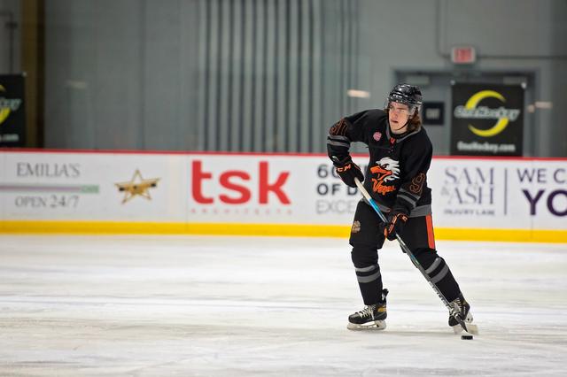 Michele Sylvester Photography