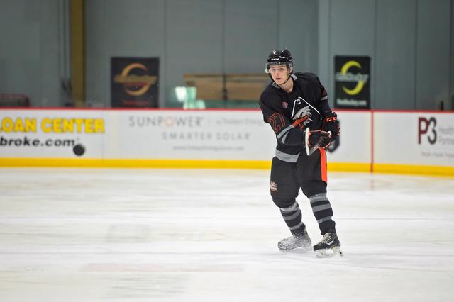 Michele Sylvester Photography