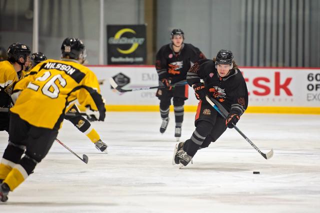 Michele Sylvester Photography