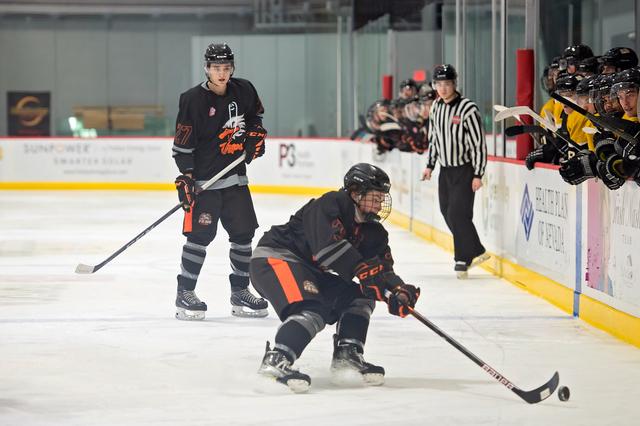 Michele Sylvester Photography