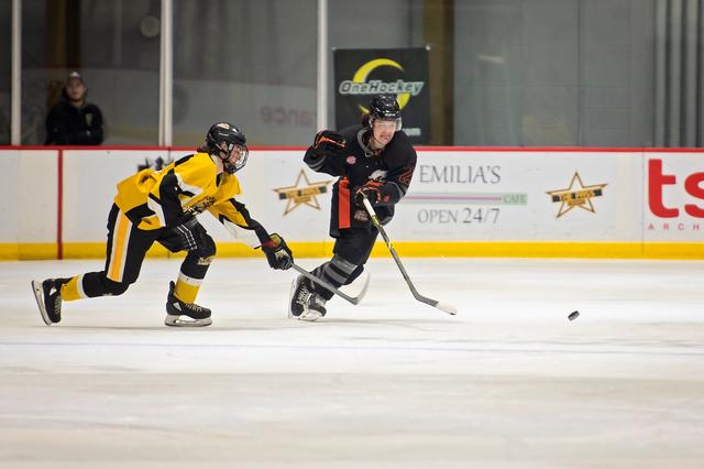 Michele Sylvester Photography