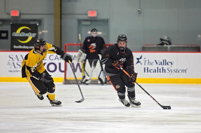 Michele Sylvester Photography