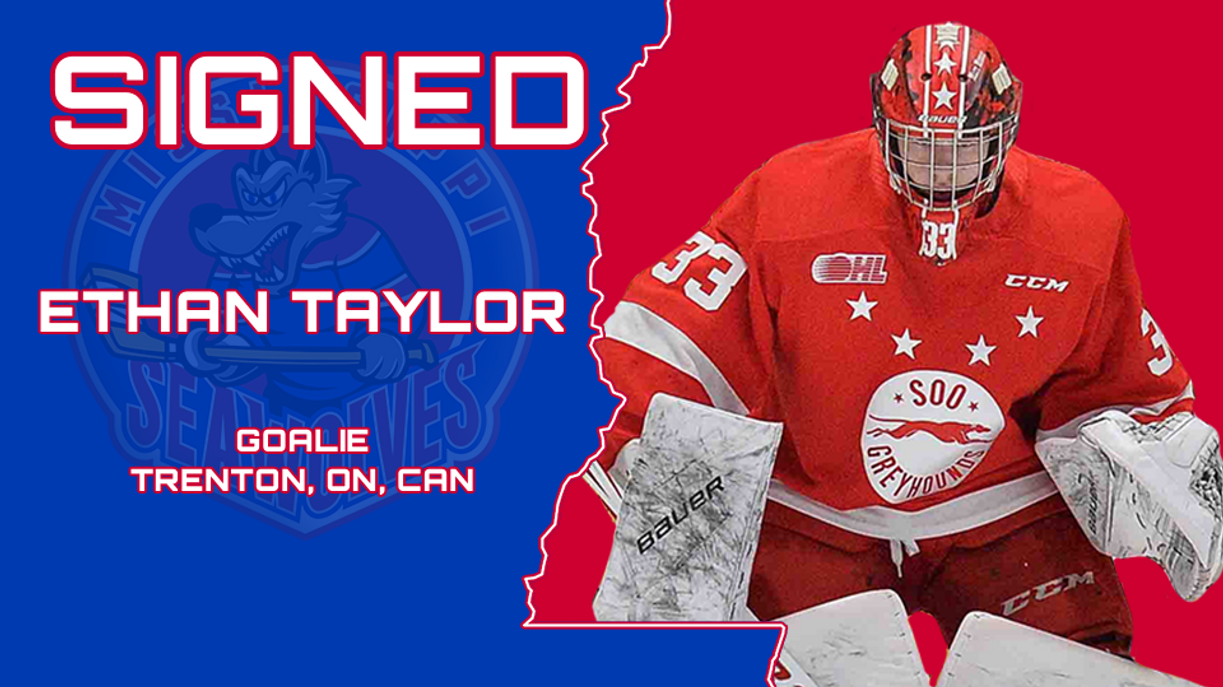 news-sea-wolves-acquire-goaltender-ethan-taylor-mississippi-sea-wolves