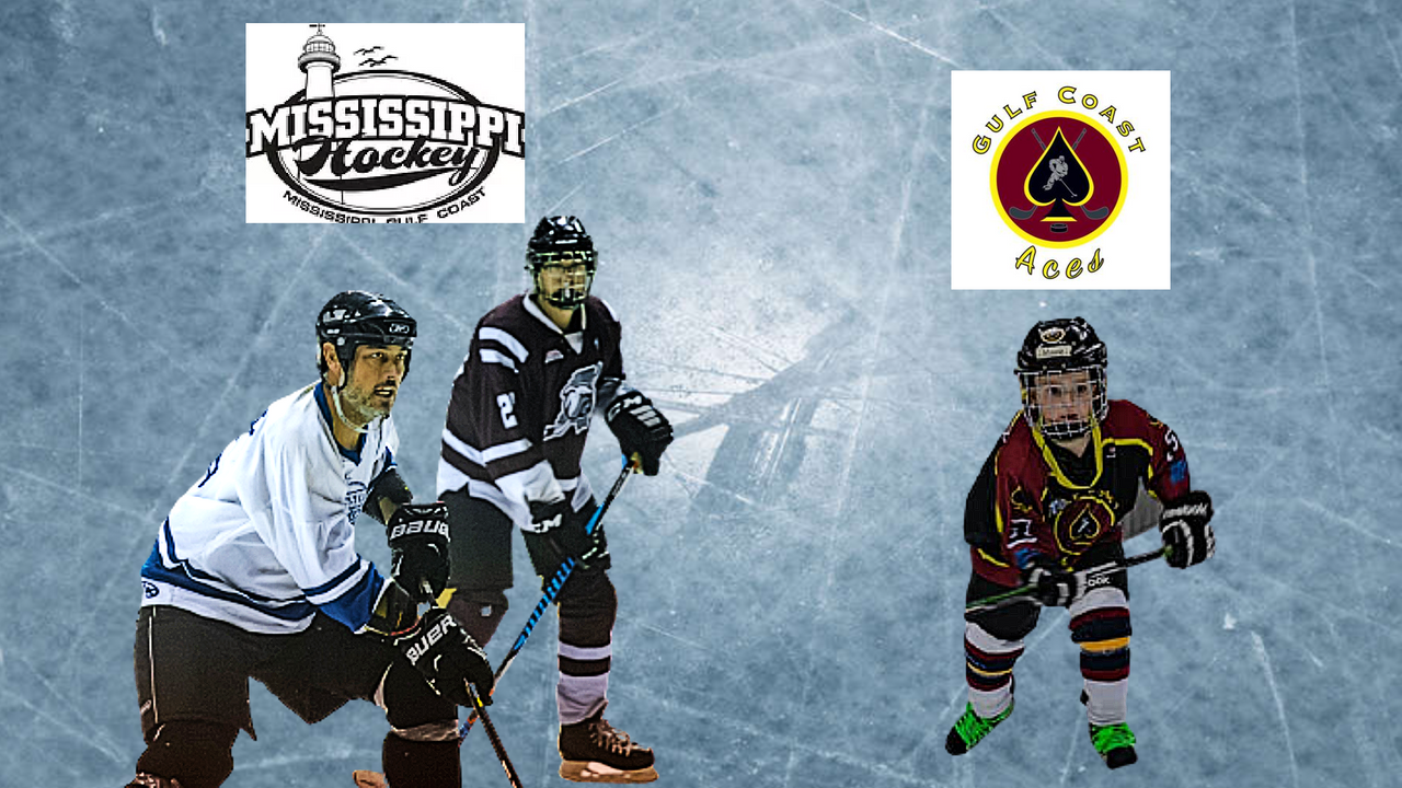 adult-youth-hockey-mississippi-sea-wolves