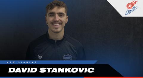 Comets sign standout free agent David Stankovic