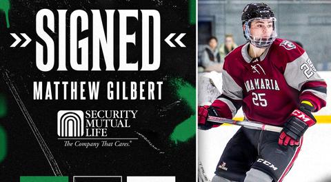 Black Bears add depth with F Matthew Gilbert
