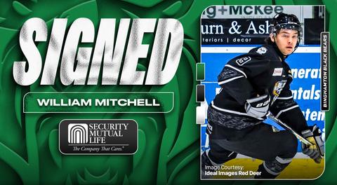 Will Mitchell joins Binghamton