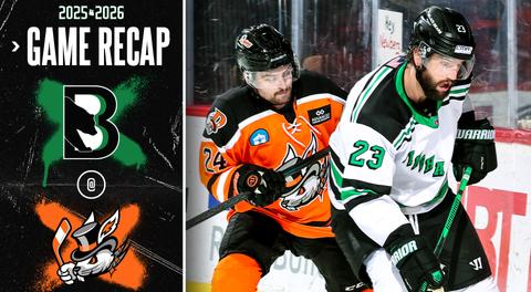 Black Bears fall on the road