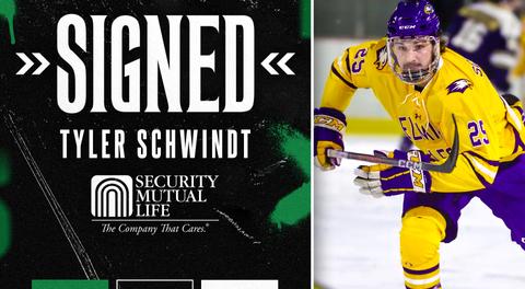 Soaring Eagle finds new nest in Binghamton