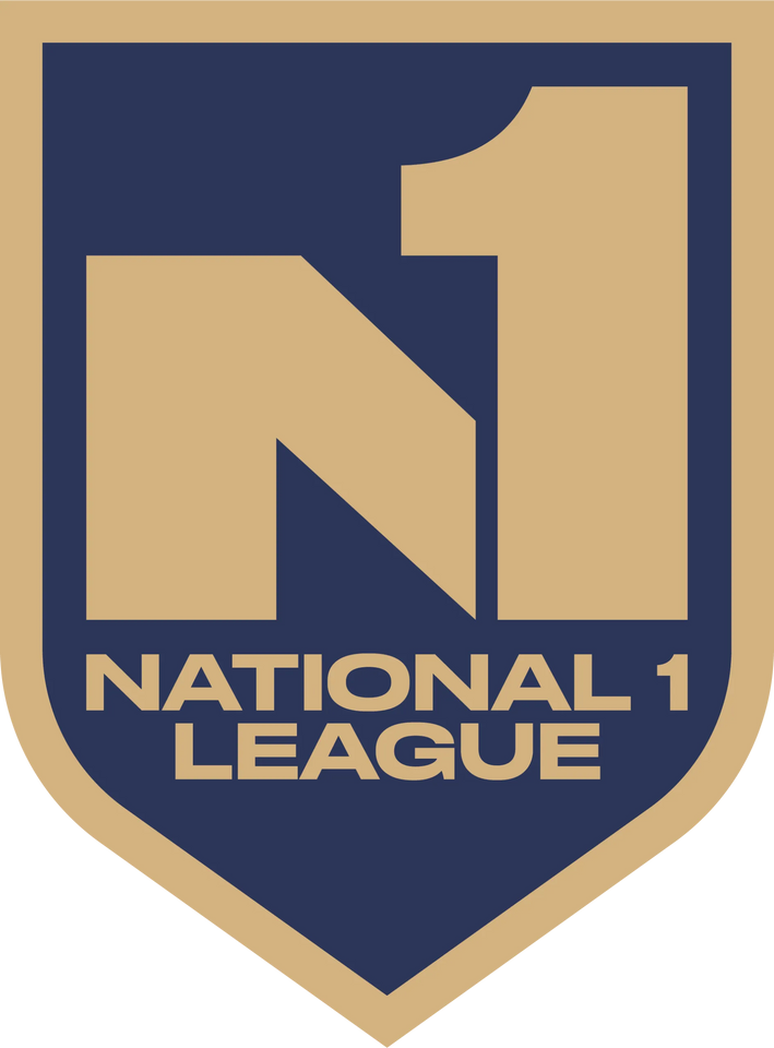 N1 Logo