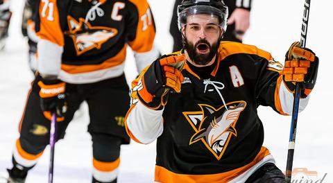 Sharks Split Weekend Series, Friday Likely Determines MIHL South w/ Outlook, Broadcasts