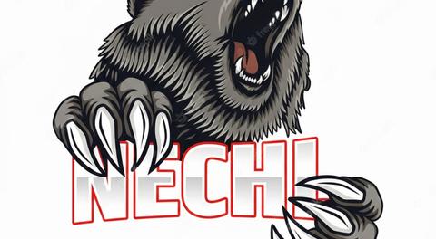 Livestream links set up for playoffs