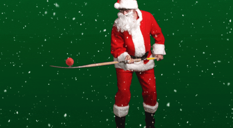 Happy Holidays from the NECHL!