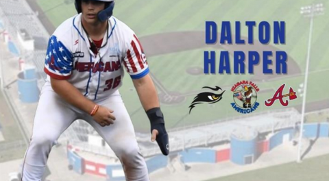 Former Niagara Falls American Dalton Harper Selected in MLB Draft