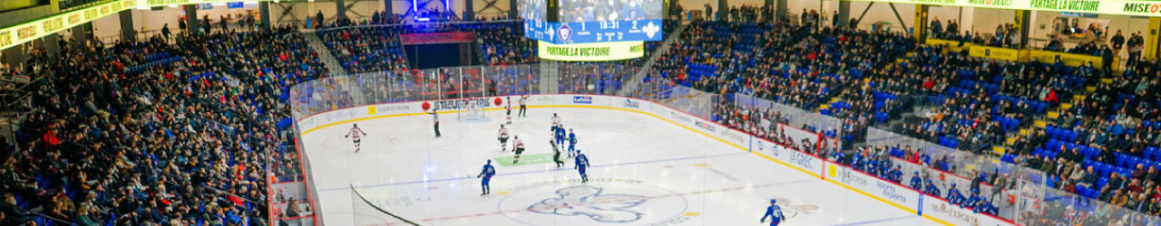Colisée Vidéotron Crowd