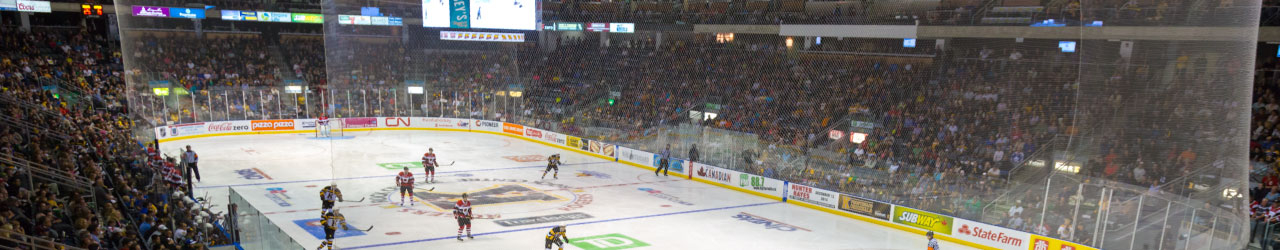 Slush Puppie Place Crowd