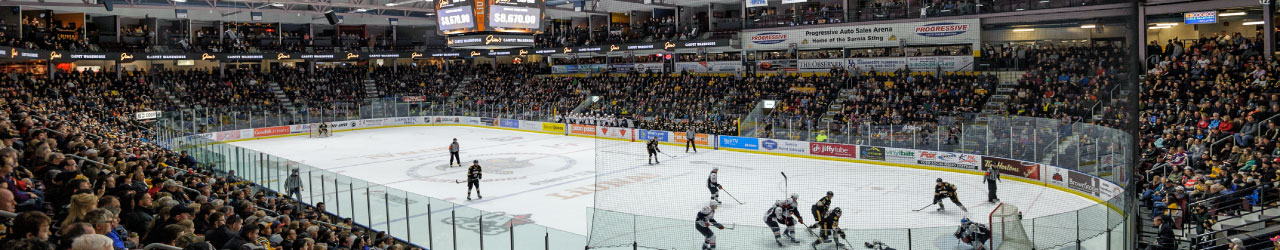 Progressive Auto Sales Arena Crowd