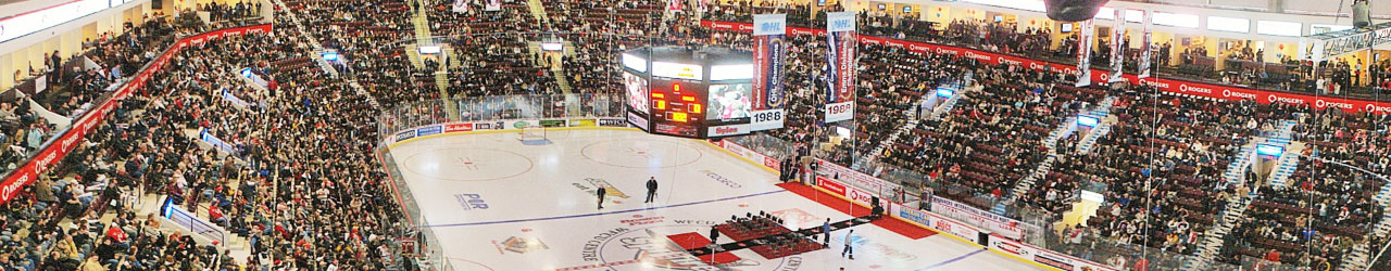 WFCU Centre Crowd