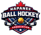 Napanee Ball Hockey