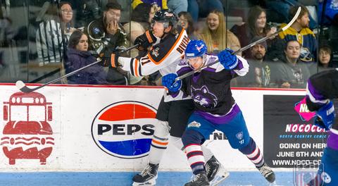 Hockey Fights Cancer Night Recap