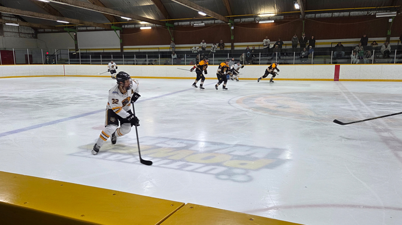 The Tigers' Webster skating the puck up the ice.