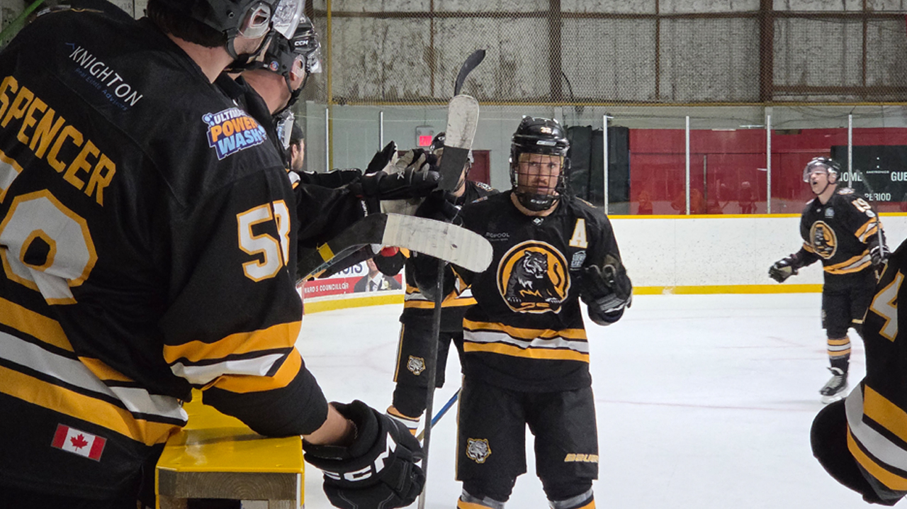 Tigers celebrating a goal by their bench