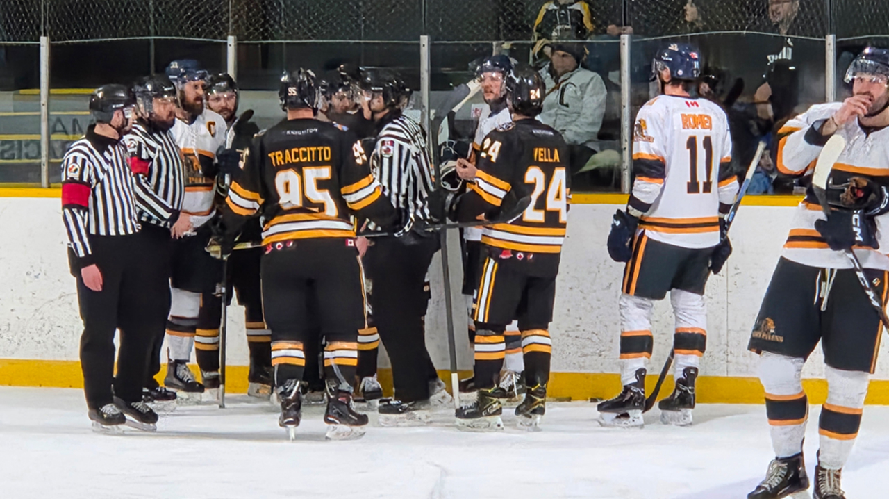 Gryphins and Tigers in a scrum