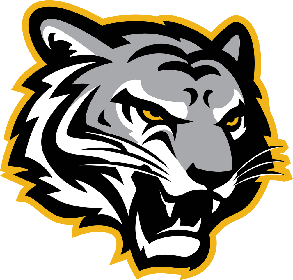 Stoney Creek Tigers