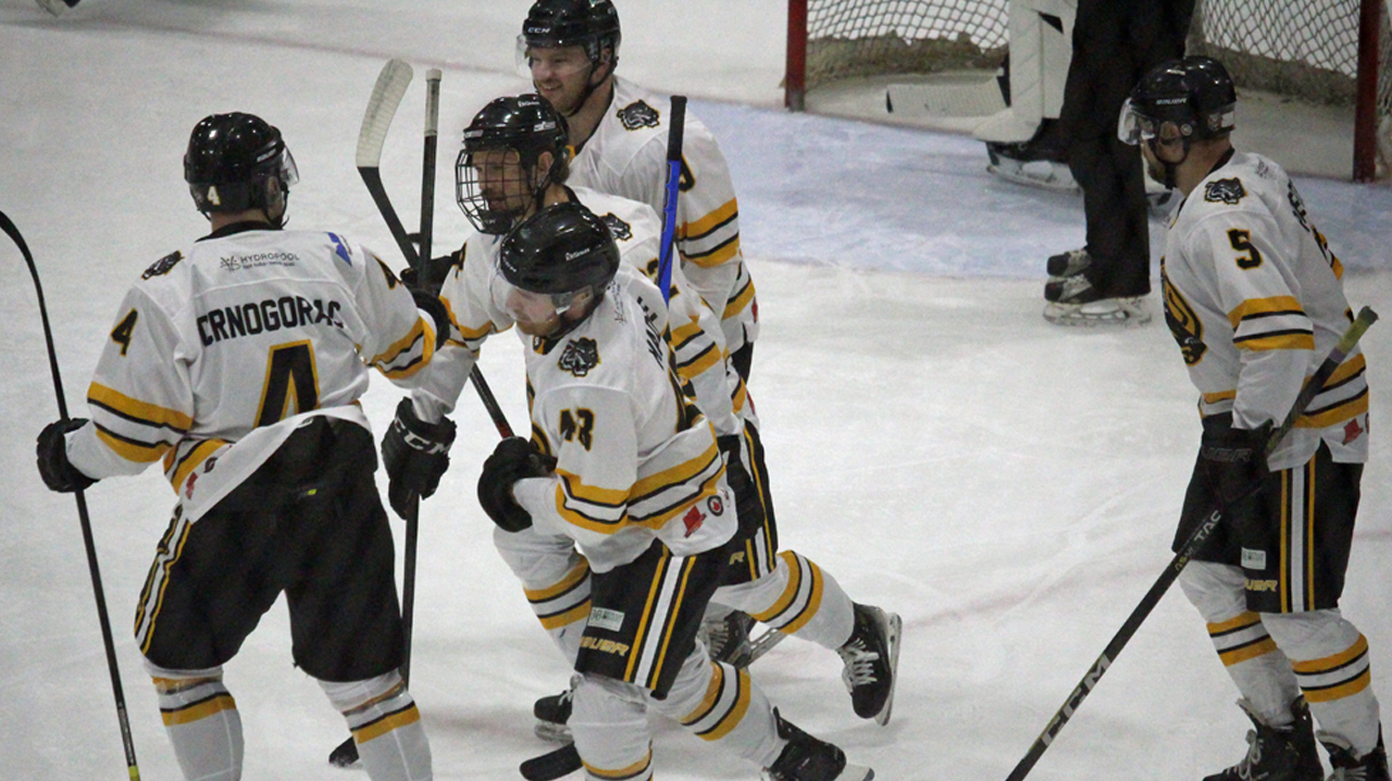 Tigers celebrate a Dylan Madge goal