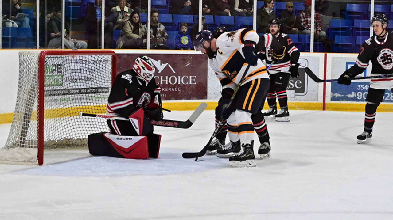 Mike Mole making a save on a Gryphins shot