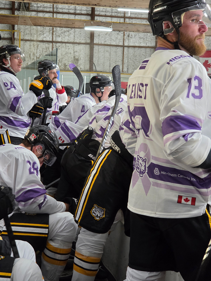 Tigers on the bench wearing special HFC jerseys