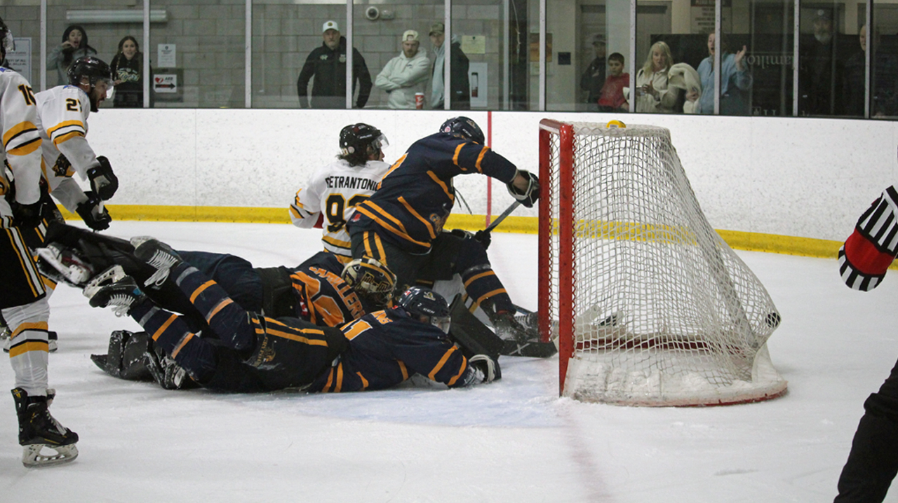 Pietrantonio scores go-ahead goal in second period for the Tigers.