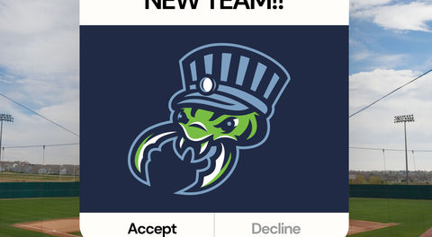 New Team in Easley, SC launching in the Palmetto State League