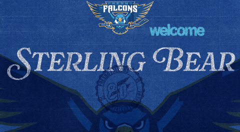 Fresno Falcons Sign Veteran Forward Sterling Bear