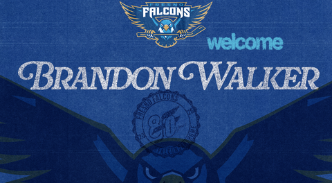 Fresno Falcons Sign Former CCHL Defenseman of the Year Brandon Walker