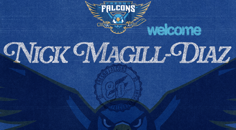 FALCONS ADD VETERAN DEFENSEMAN NICK MAGILL-DIAZ