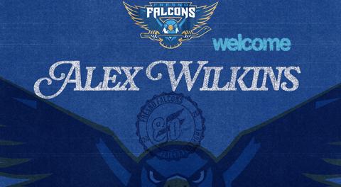 FRESNO FALCONS SIGN FORMER SPHL ALL-ROOKIE DEFENSEMAN ALEX WILKINS