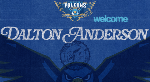 FALCONS SIGN VETERAN FORWARD DALTON ANDERSON
