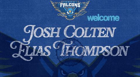 FALCONS SIGN FORMER FPHL DEFENSEMAN OF THE YEAR JOSH COLTEN AND ENFORCER ELIAS THOMPSON