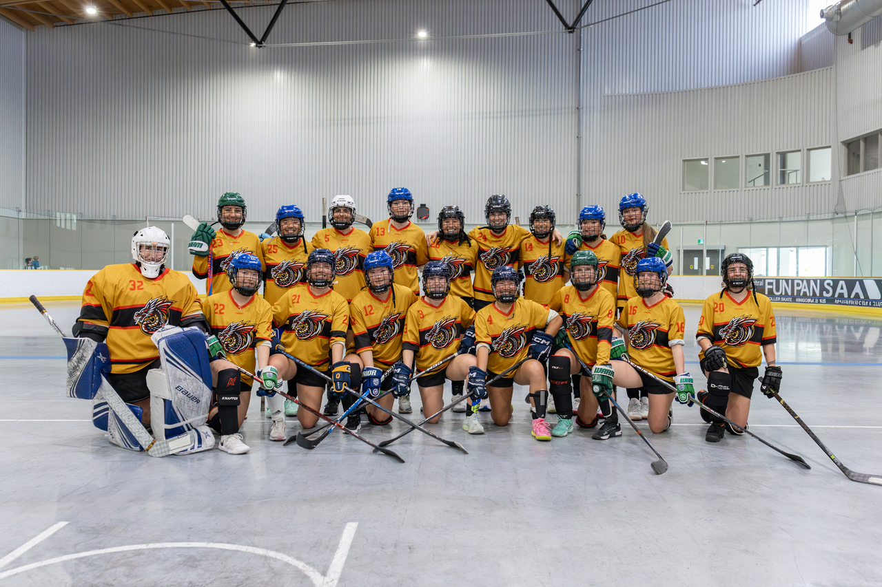 2026 Dragons