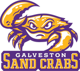 Galveston Sand Crabs