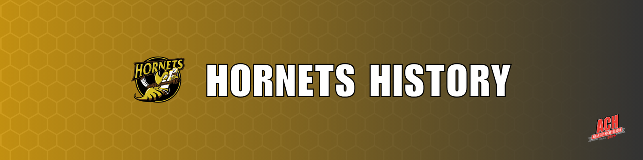 Hornets History