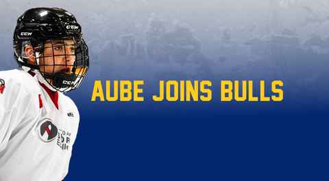 Bulls Ink Big Blueliner Bryston Aube