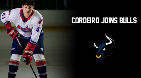 Bulls Sign HTI Product Cordeiro