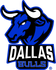 Dallas Bulls Registration