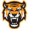 tiger head logo image